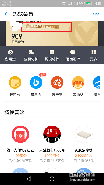 支付宝怎么查看蚂蚁会员等级