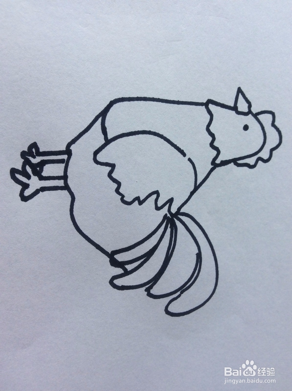 大公鸡的简笔画怎么画怎么画大公鸡