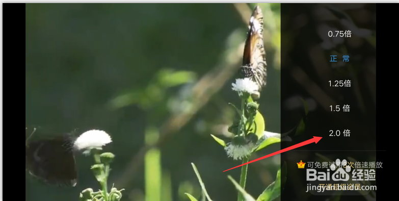 百度云怎么倍速 百度网盘倍速播放设置方法