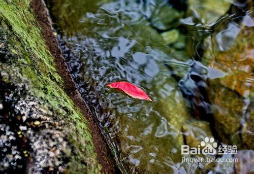 好照片的拍摄技法：色彩篇