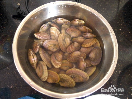 爆炒花甲怎么做，蛤蜊怎么做好吃