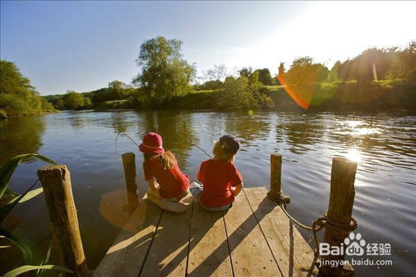 夏季如何钓草鱼的小技巧介绍