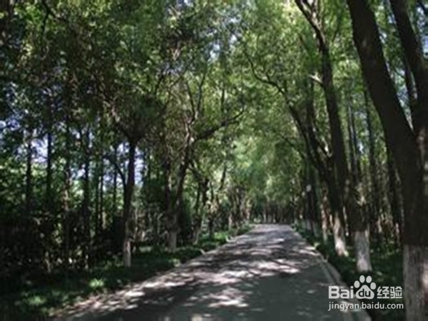 教会孩子如何预防中暑