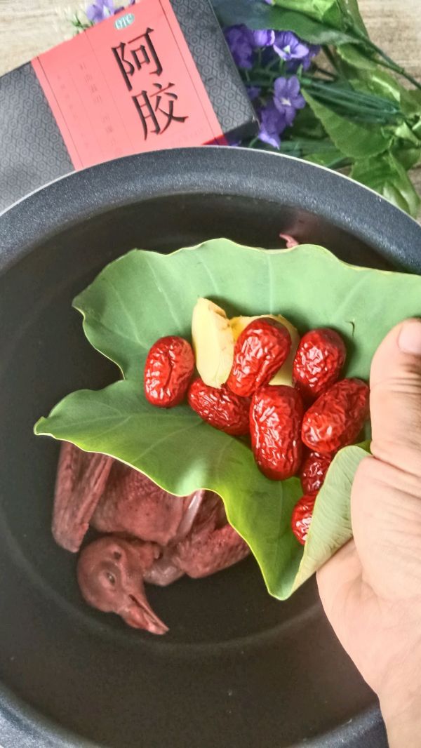 阿胶药膳炖鸽子