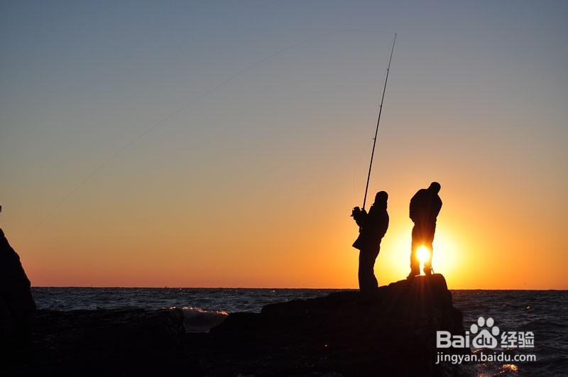 大中型水库钓鲤鱼的技巧教学