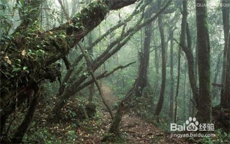 吃三七粉有什么好处,不知道的点击查看