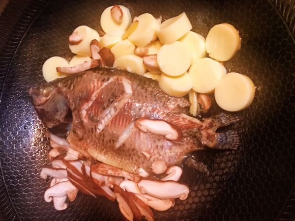 罗非鱼日本豆腐汤