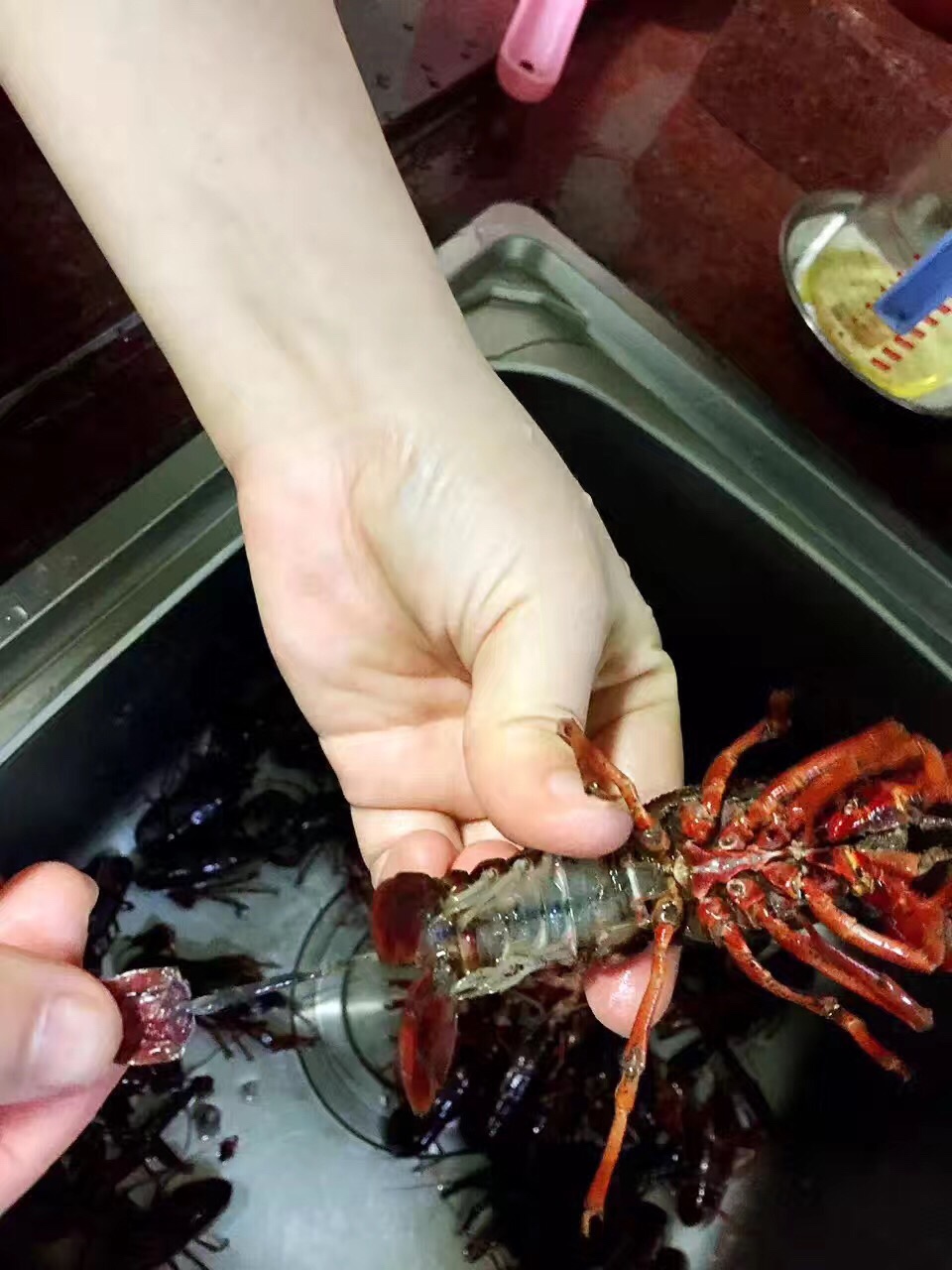 教你怎么处理小龙虾,干净又卫生