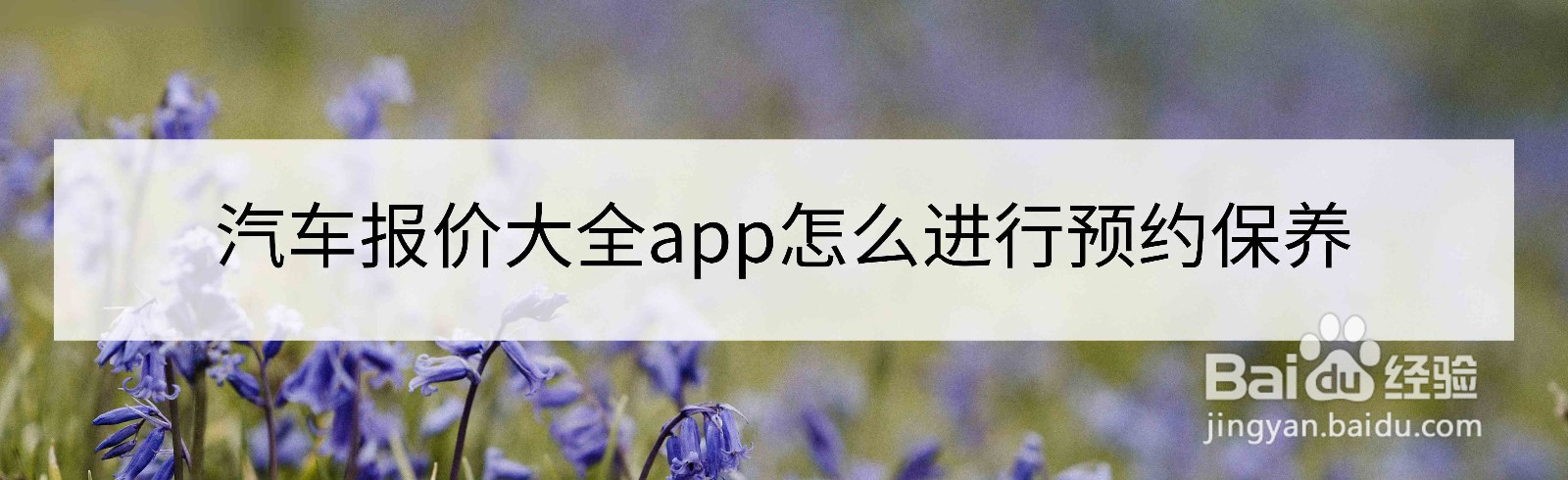 <b>汽车报价大全app怎么进行预约保养</b>