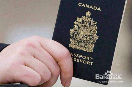 多伦多生子攻略之怎么给宝宝换护照？
