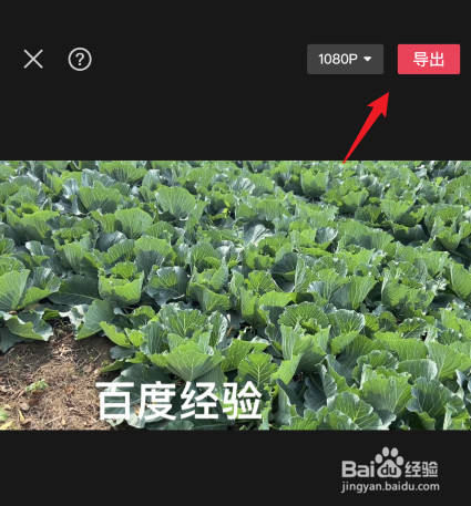 怎么给视频加字幕?
