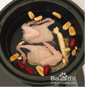 虫草花乳鸽汤