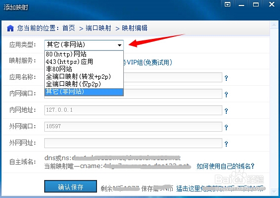 花生壳动态域名不能访问