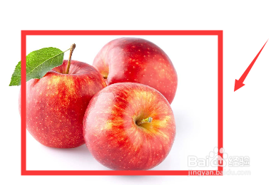 吃葱怎么去口中的味道