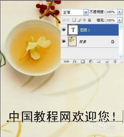 Photoshop制作图片透明水印教程