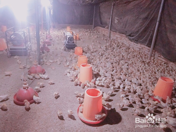 养殖燃油热风机采购须知