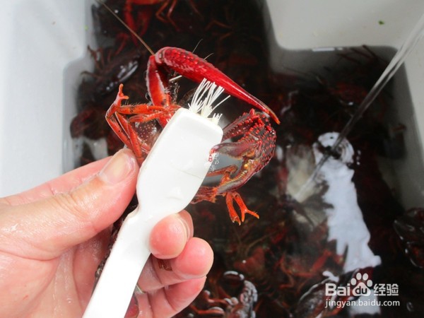 麻辣小龙虾做法