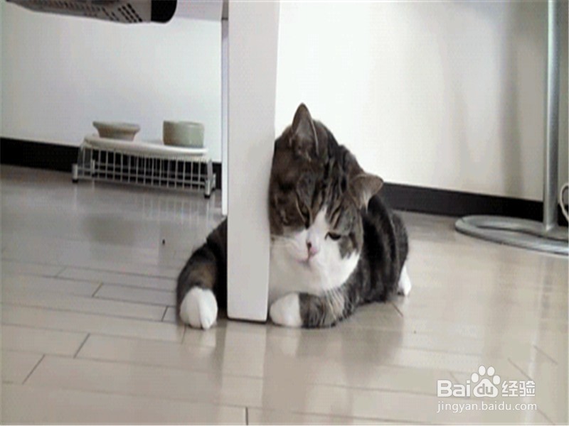 身体困乏怎么办