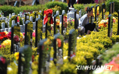 清明12种文明祭扫方式