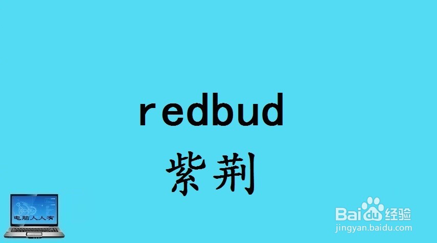 花相关的英语单词