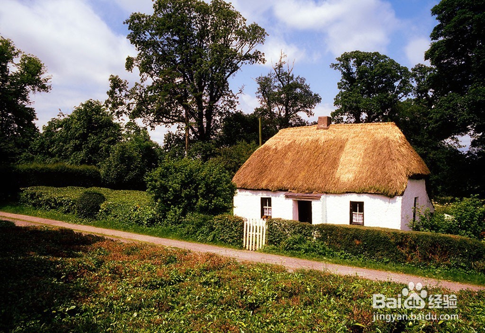 如何运用森田疗法治疗强迫症