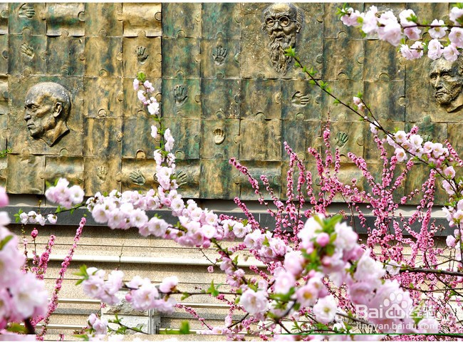 吉林师范大学成人高考小学教育专业报名