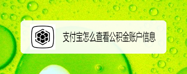 支付宝怎么查看公积金账户信息