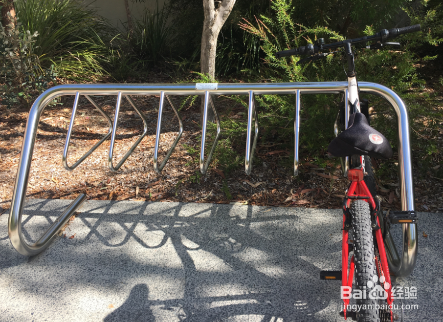 澳洲自行车骑行经验