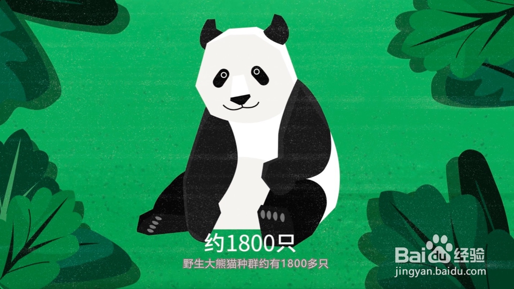 怎样正确保护野生动物