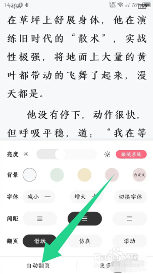 树莓阅读在哪里开启自动翻页