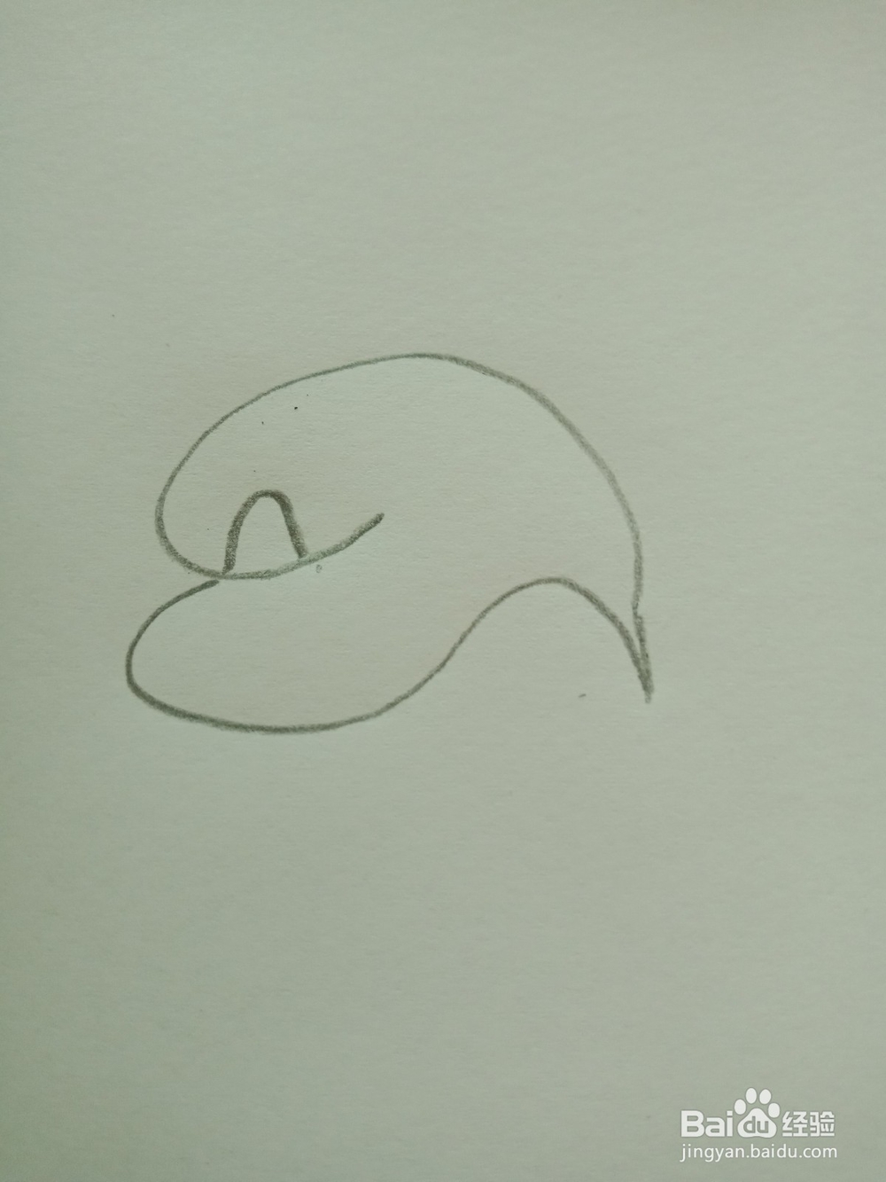 简笔画---马蹄莲