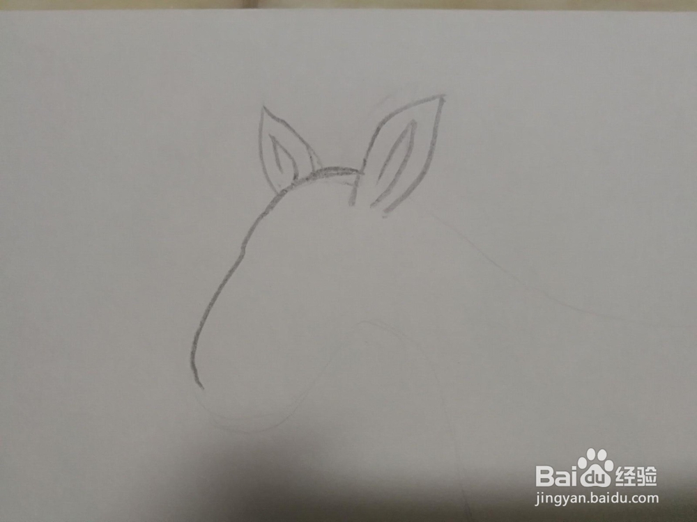 斑马简笔画怎么画