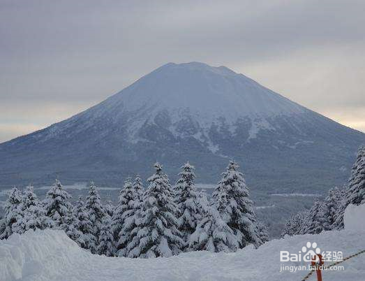虻田郡旅游指南