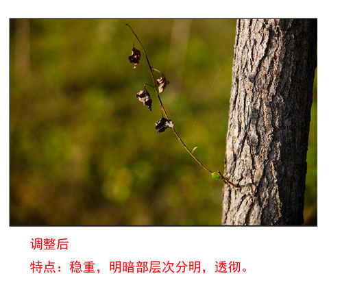 简单直观raw格式图片调整