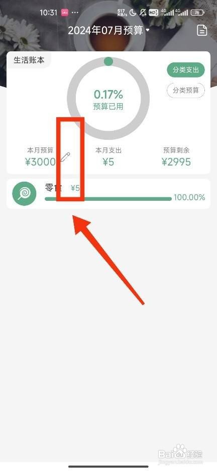 《熊猫记账》设置本月预算怎么做