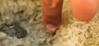 如何学习这些厨房里小技巧