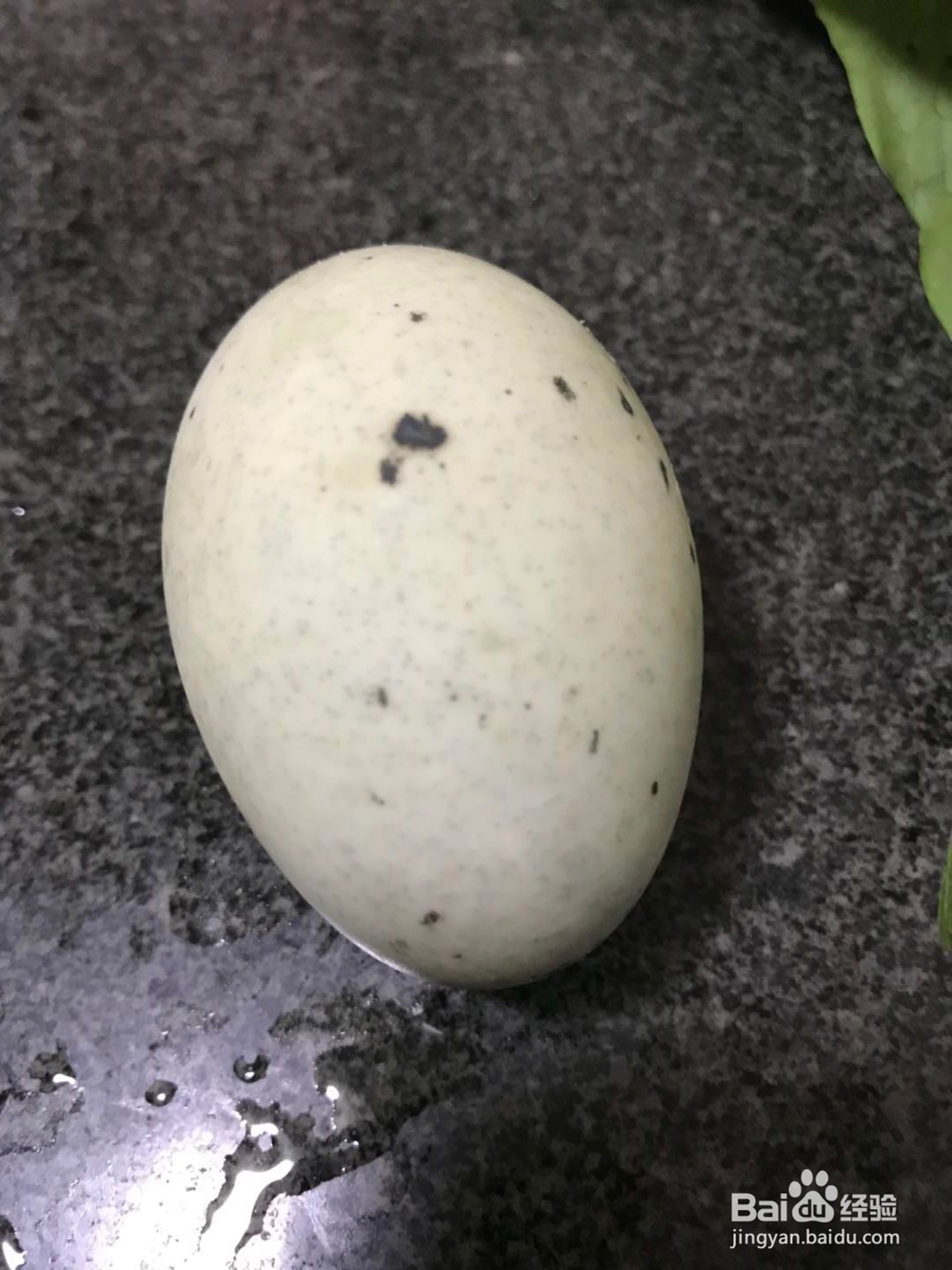 皮蛋瘦肉粥DIY