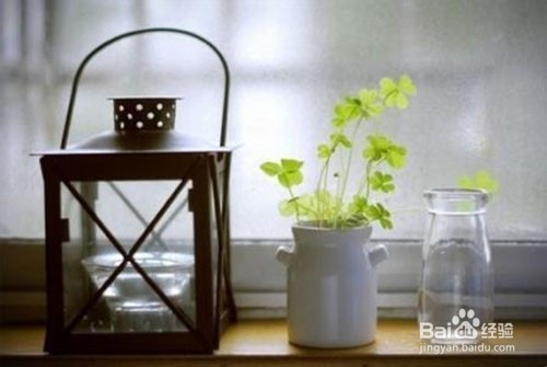 性格好说话容易妥协怎么办