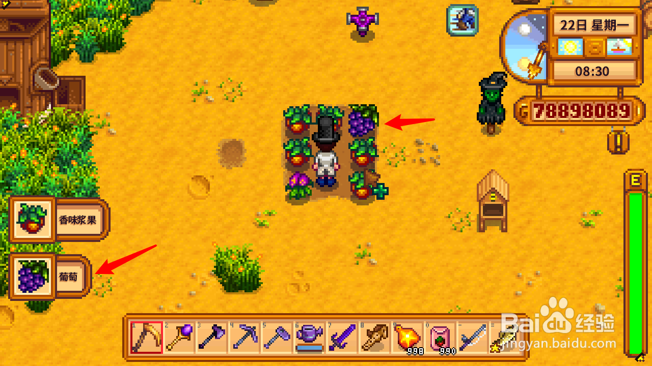 星露谷物语葡萄干怎么做