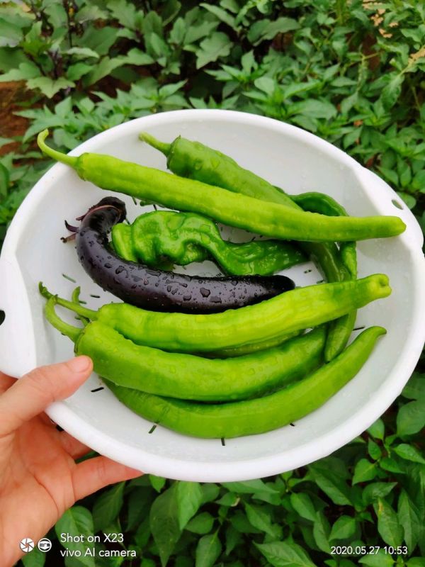 皮蛋擂青椒茄子
