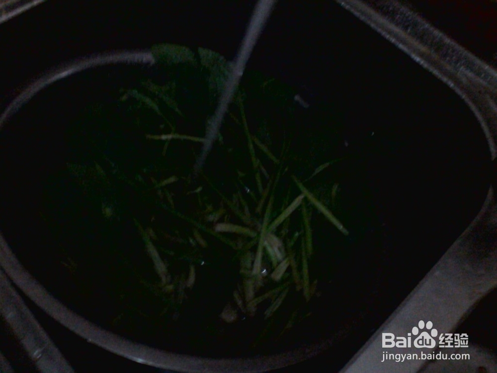 烟台家常菜之菠菜炒鸡蛋的做法