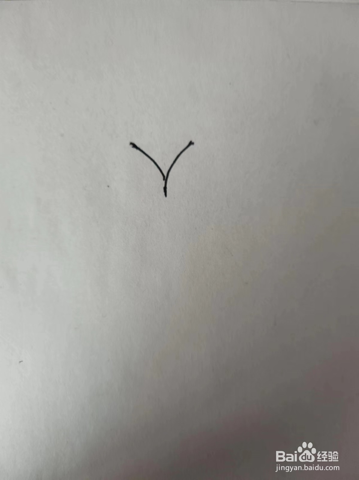 画荷花的简笔画