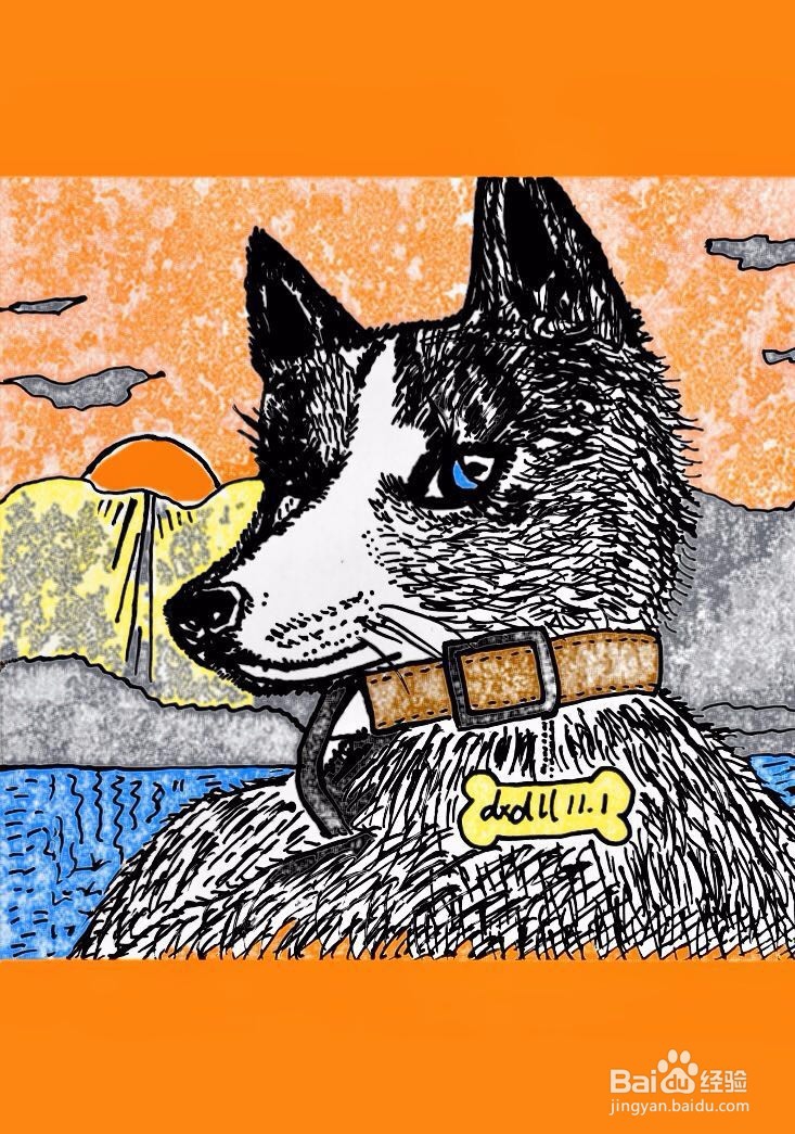 茉莉蜡笔手绘之萌宠哈士奇