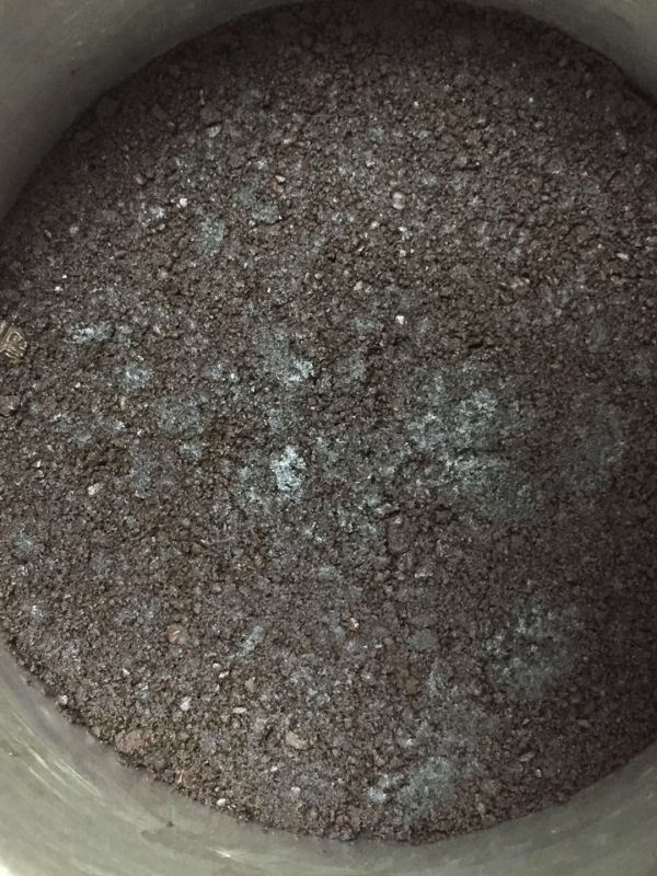 免烤箱芒果慕斯蛋糕