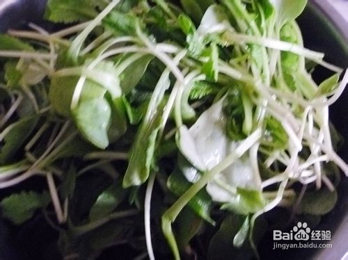 【爽口凉菜】六步做出好吃小凉菜---凉拌萝卜苗