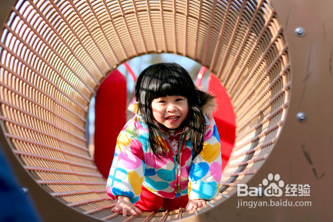 美国社区儿童乐园钻猪笼(组图)