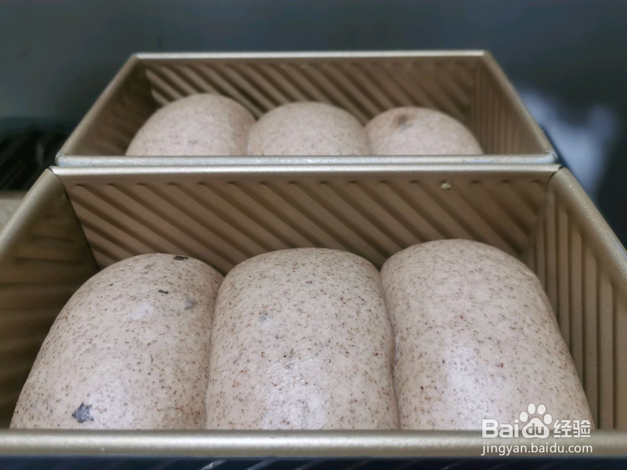 玉米油黑麦面包的做法