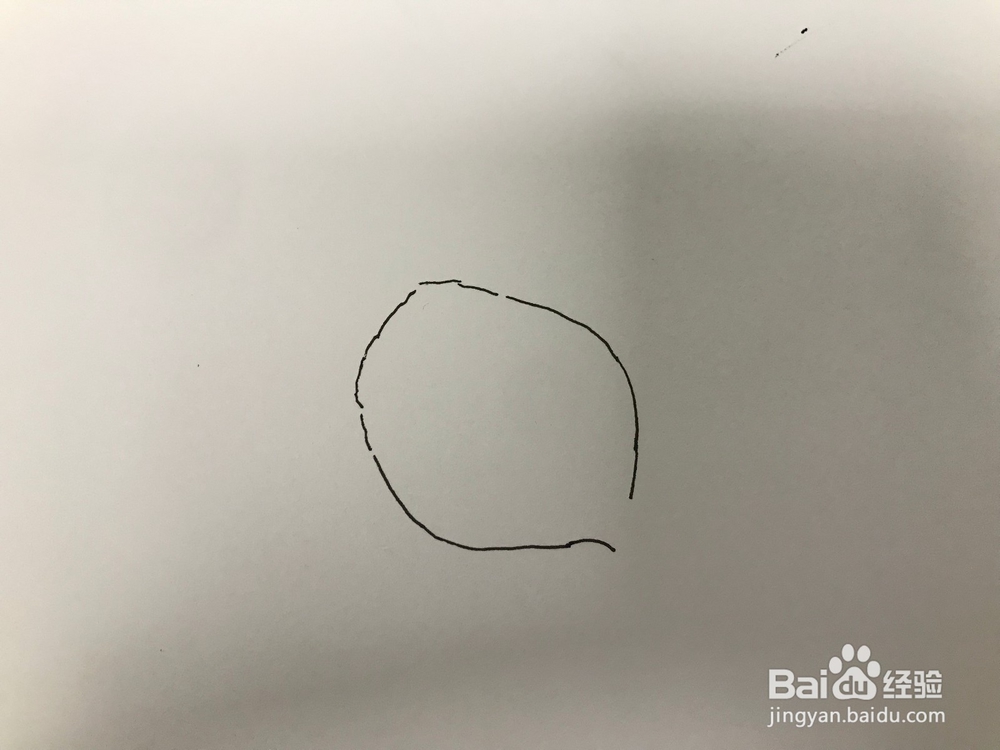 画几个发芽的洋葱
