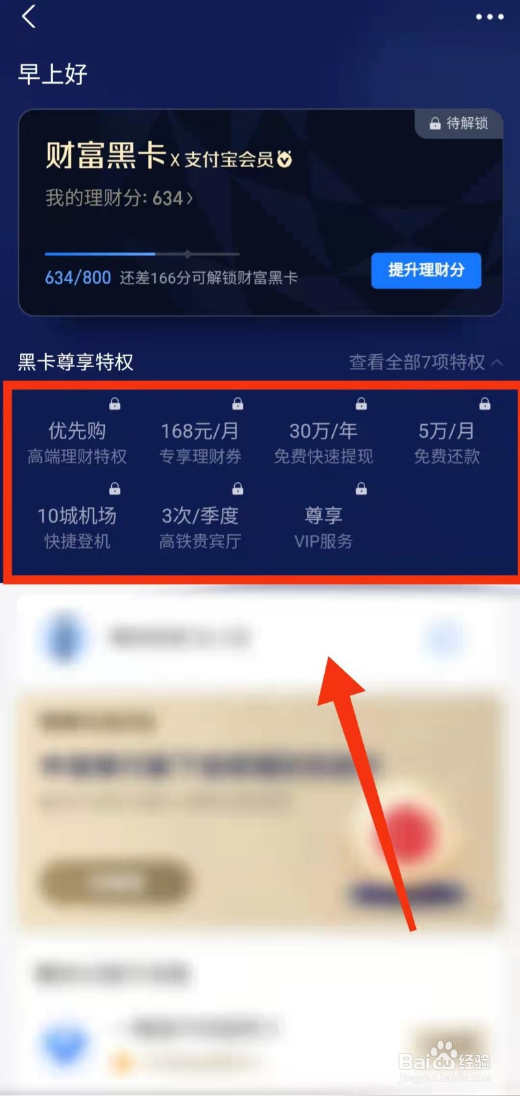 怎样查看支付宝财富黑卡的“全部特权”