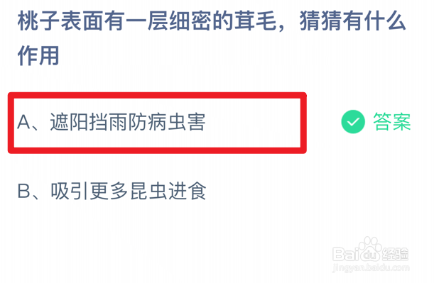 蚂蚁庄园小课堂2024年6月1日最新答案